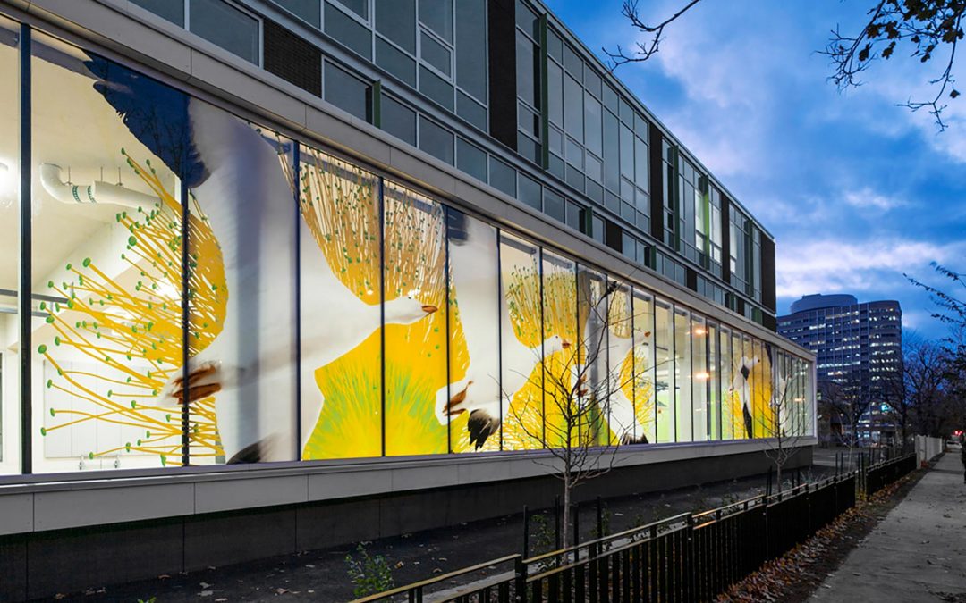 Œuvre «Contes et merveilles» de Marc Cramer, École St-Gérard, Montréal, QC